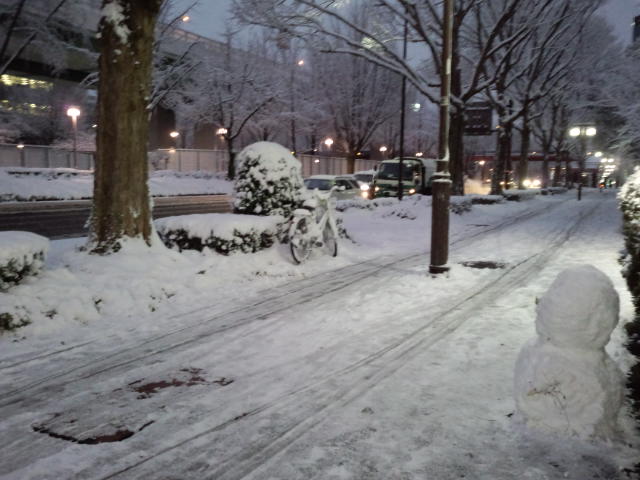 大雪ですね|名古屋市中川区のあすなろ接骨院のおもしろ日記