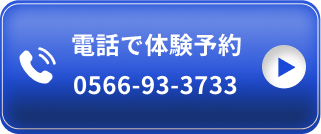 電話で予約 0566-93-3733